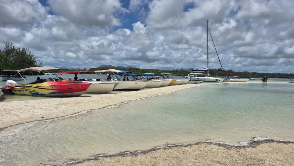 20250129 115530 kopie