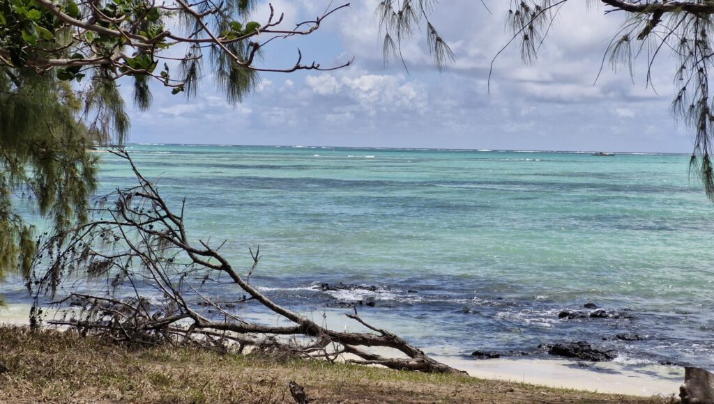 Mauricius IIe aux Cerfs