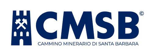 CMSB logo preview