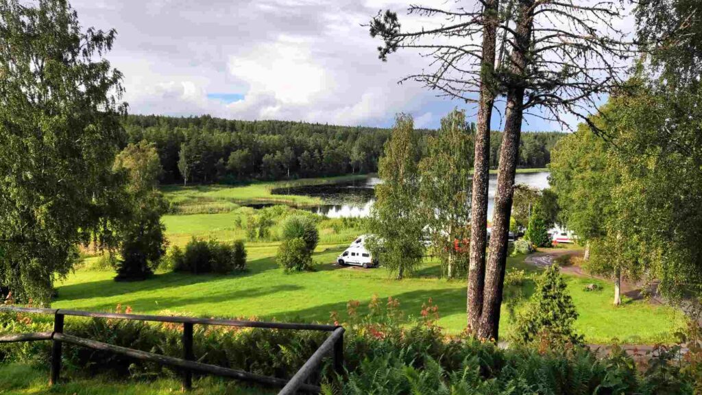 Camp v lese opt